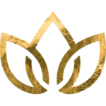 flow-yoga-Yogastudio-Binz-Rügen-Retreat-Yoga-Achtsamkeit-Yin-Hatha-Workshop-Ausbildung