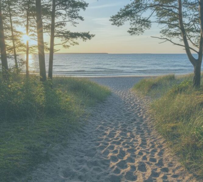 flow-yoga-Yogastudio-Binz-Retreat-Yoga-Achtsamkeit-Yin-Hatha-Workshop-Ausbildung